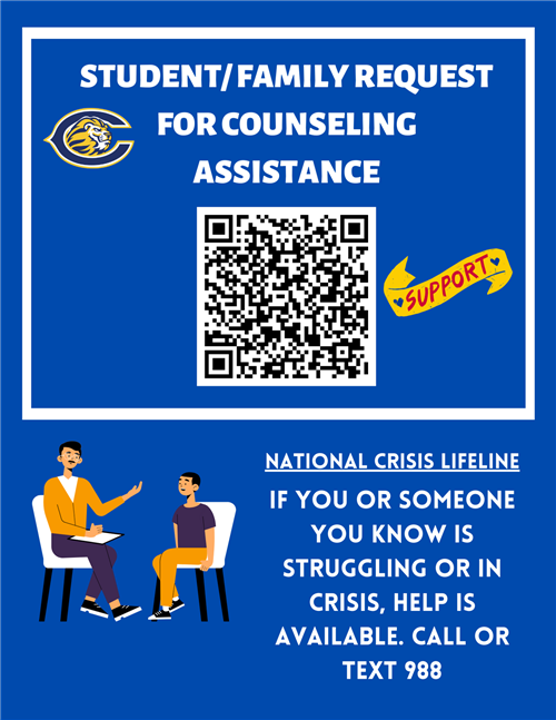 counseling support